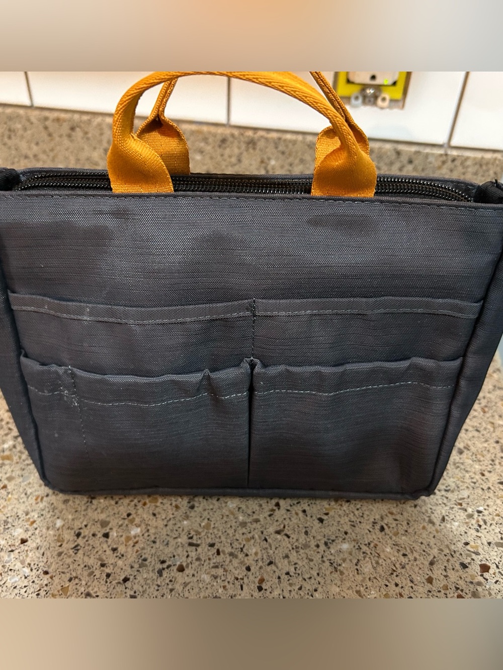 Lug insulated zippered bag/organizer
